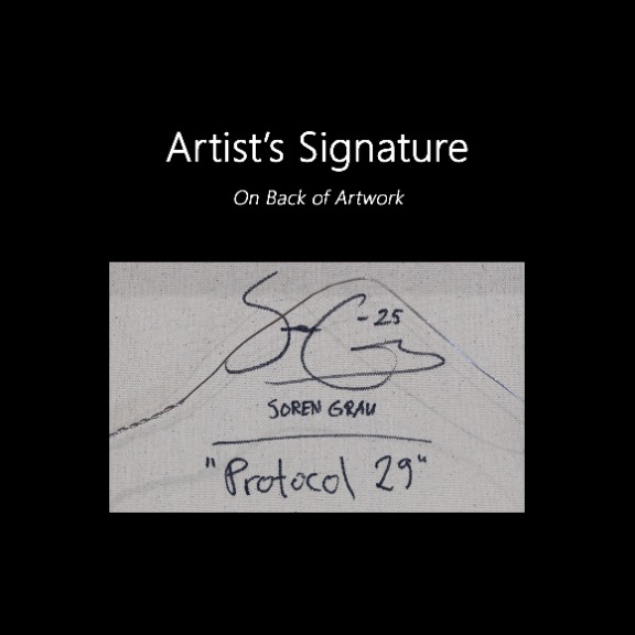 Soren Grau: Protocol 29 image 9