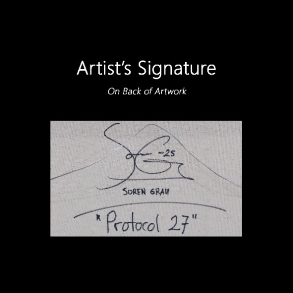 Soren Grau: Protocol 27 image 9