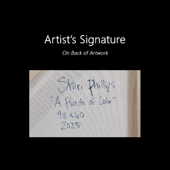 Shiri Phillips: A Punch of Color image 9