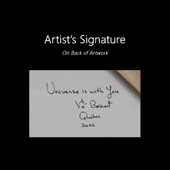 Ve Boisvert: Universe is With You image 9