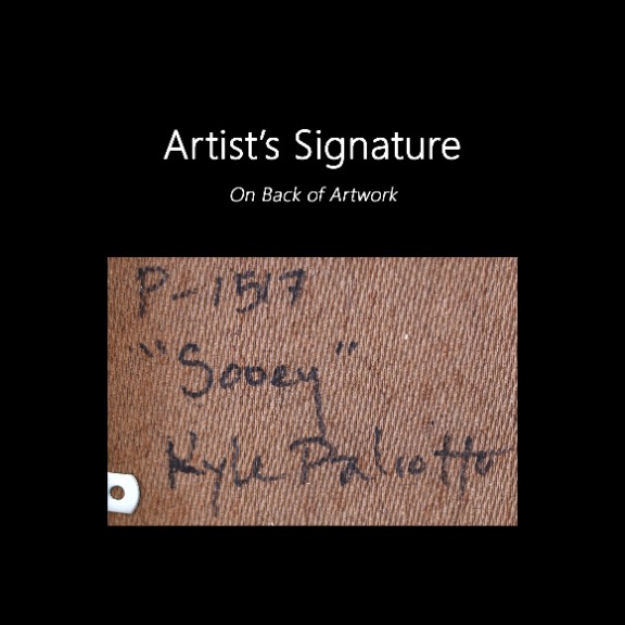Kyle Paliotto: Sooey image 9