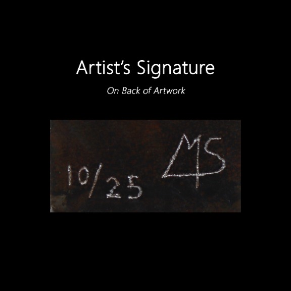 Mireia Serra: Shared Secrets 10/25 image 9
