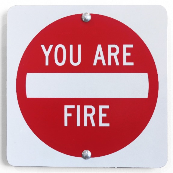 Scott Froschauer: You are Fire V image 1