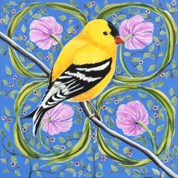 Naomi Jones: Goldfinch