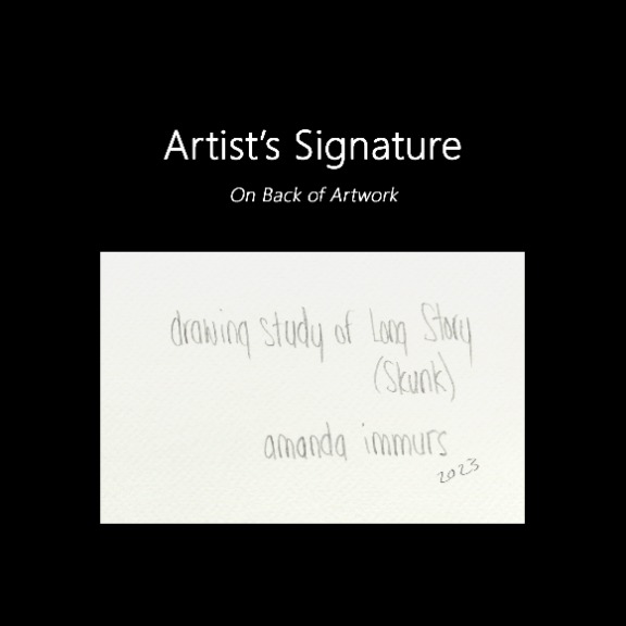 Amanda Immurs: Long Story image 7