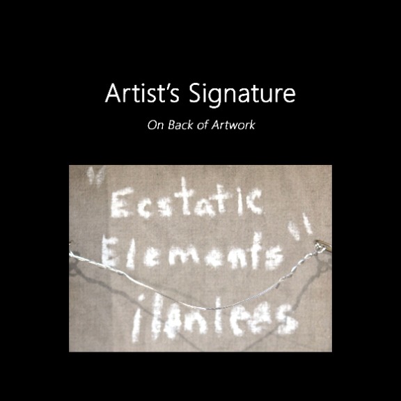 Ilan Leas: Ecstatic Elements image 9